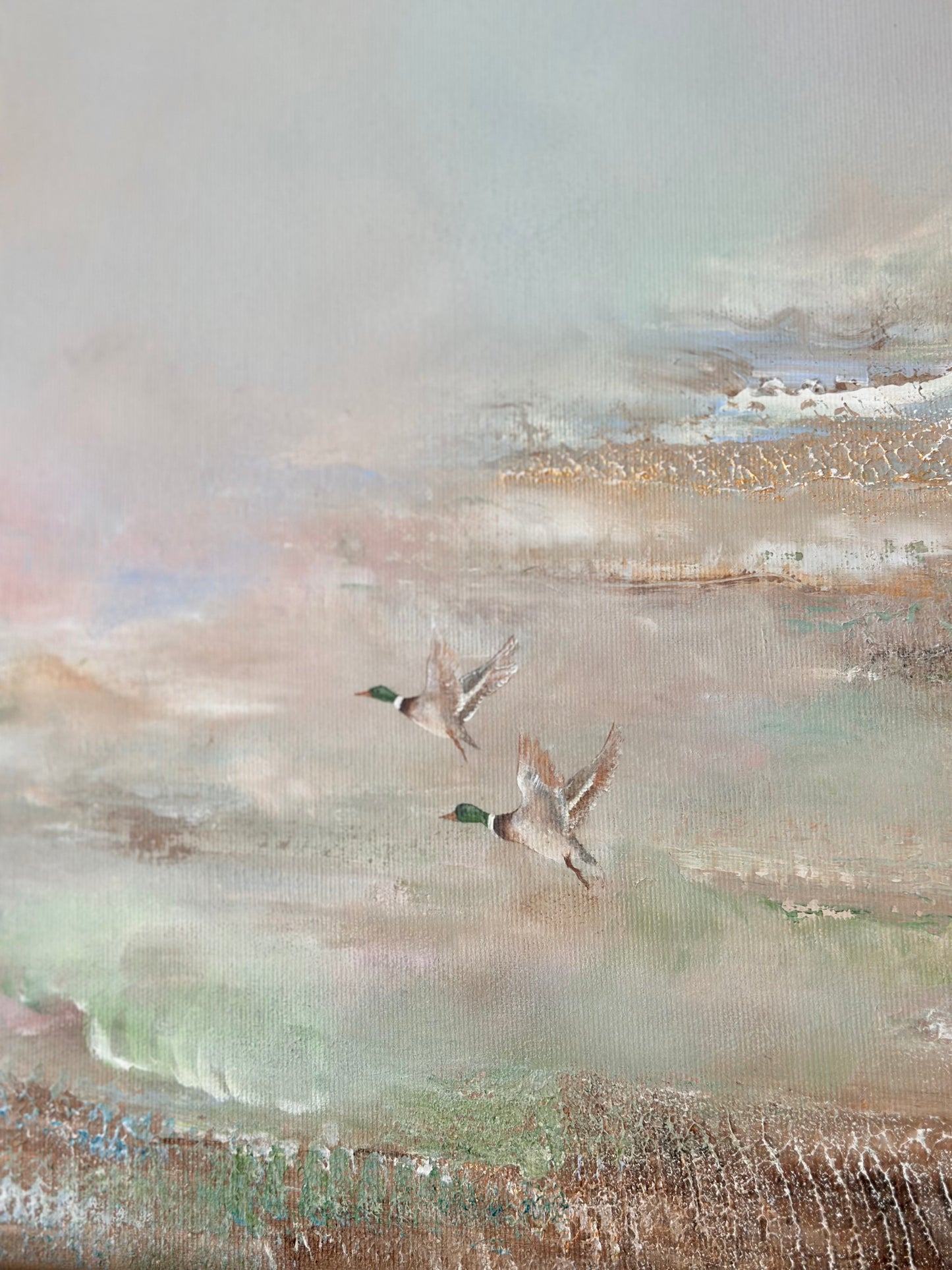 Spring Ducks