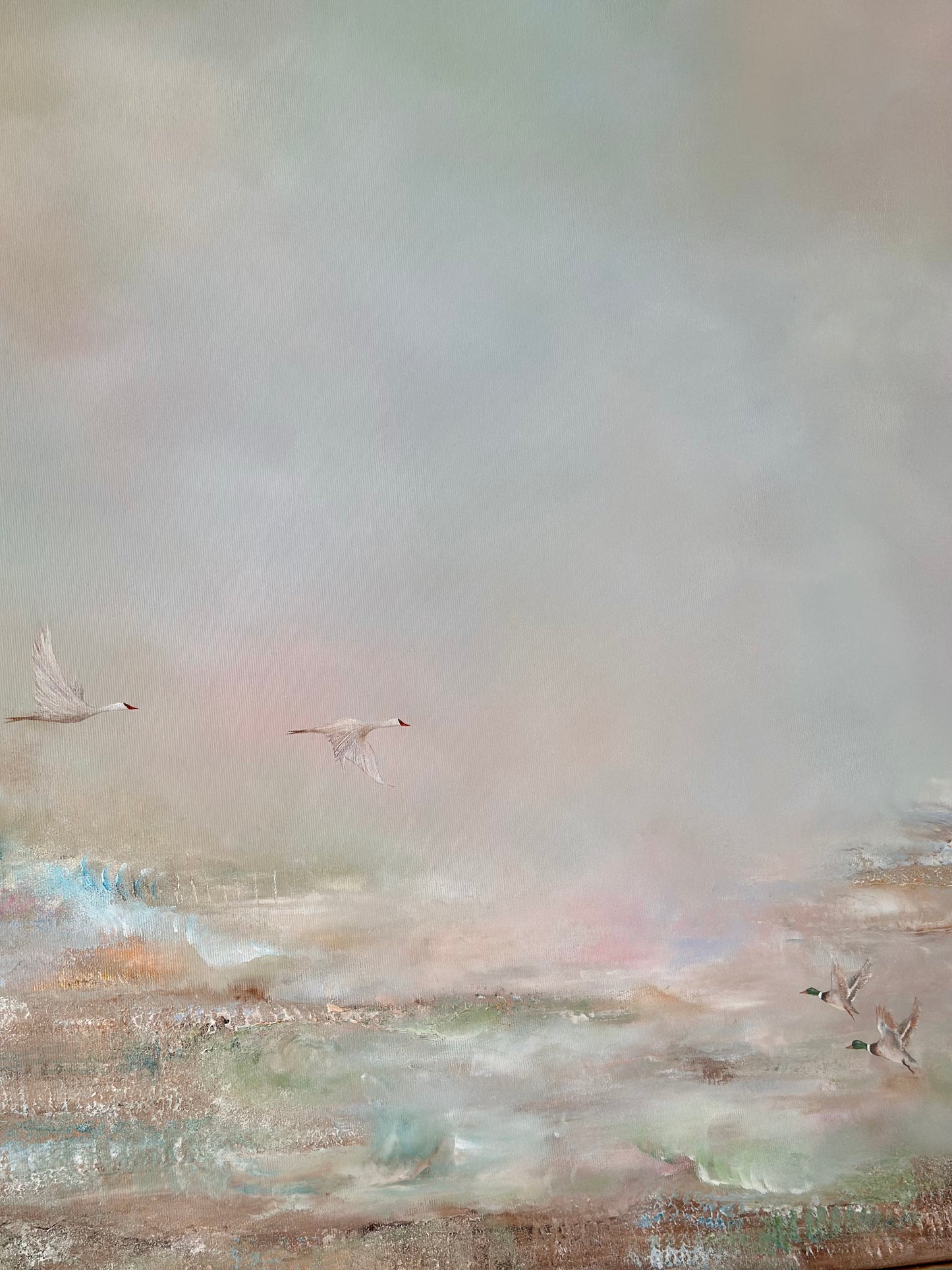 Spring Ducks