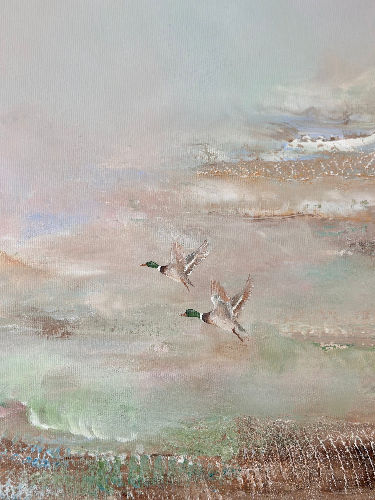 Spring Ducks