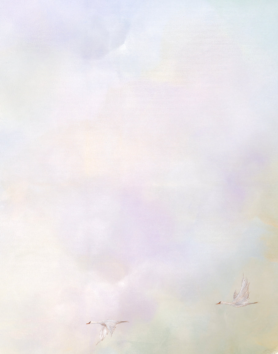 Fine Art Print The Swan Swirl (Limited Edition)