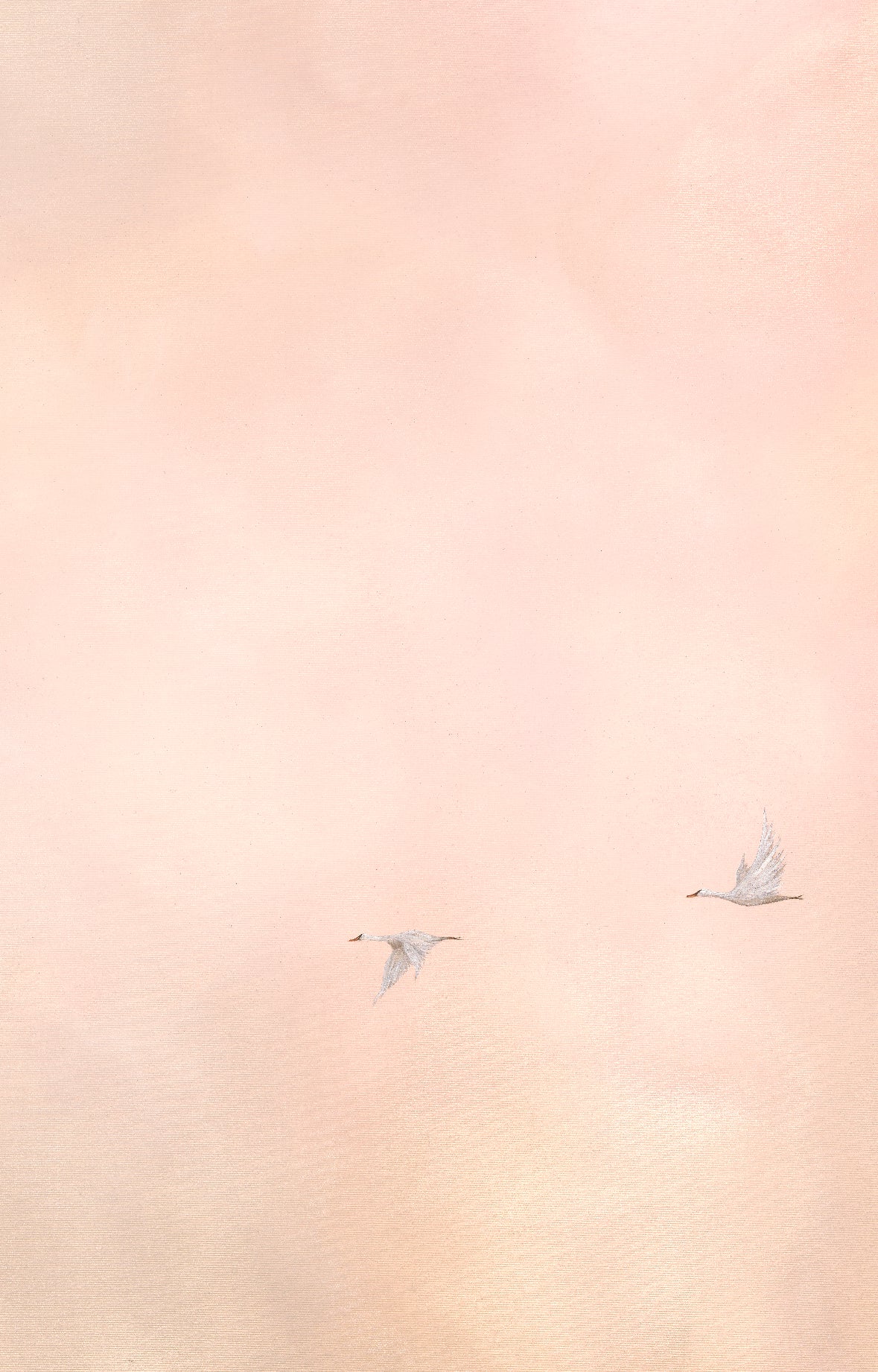 Fine Art Print Pink Clouds (Limited Edition)