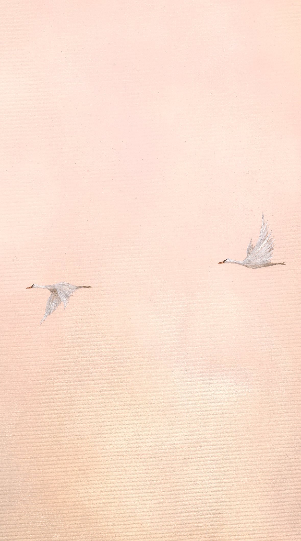 Fine Art Print Pink Clouds (Limited Edition)