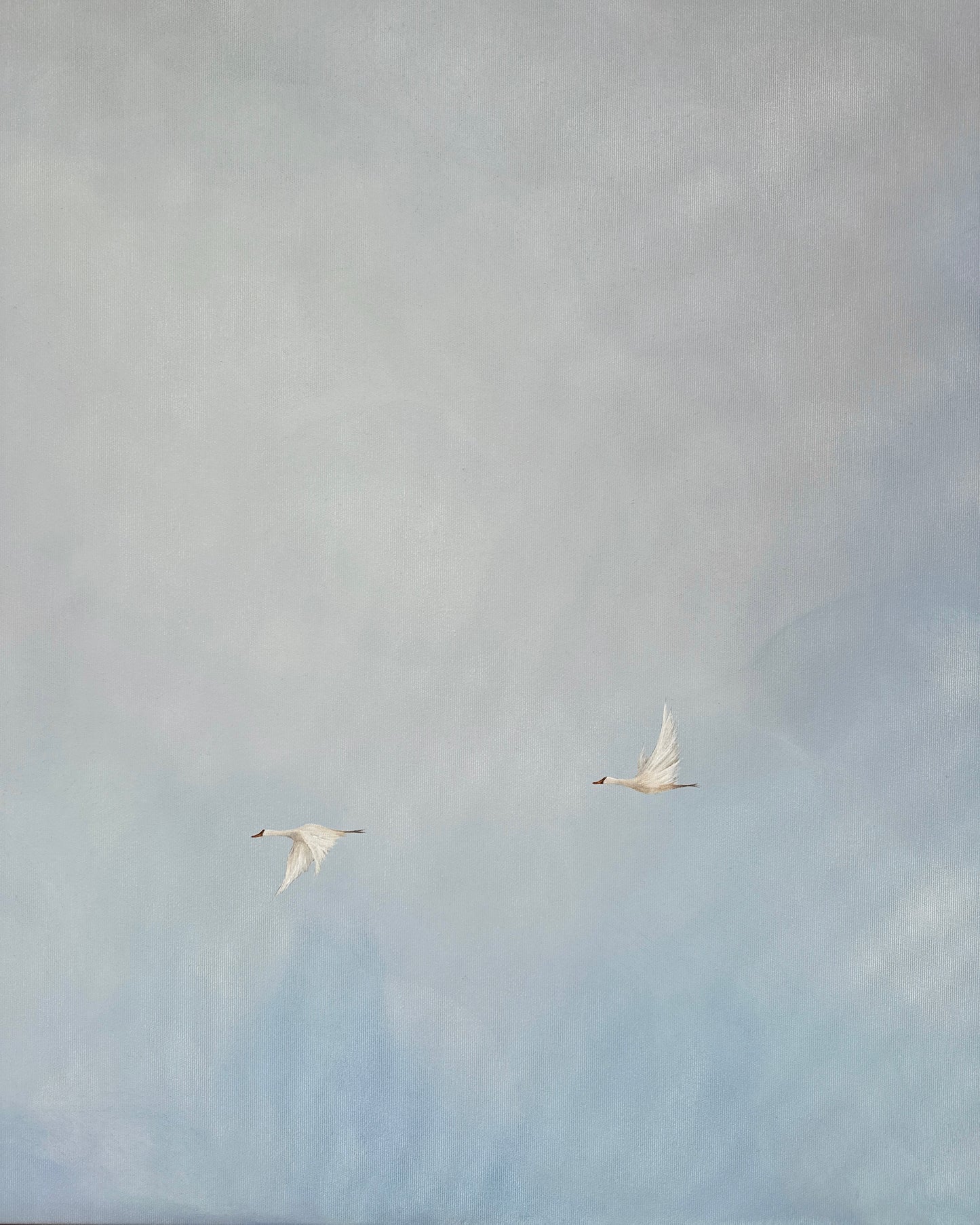 Blue clouds