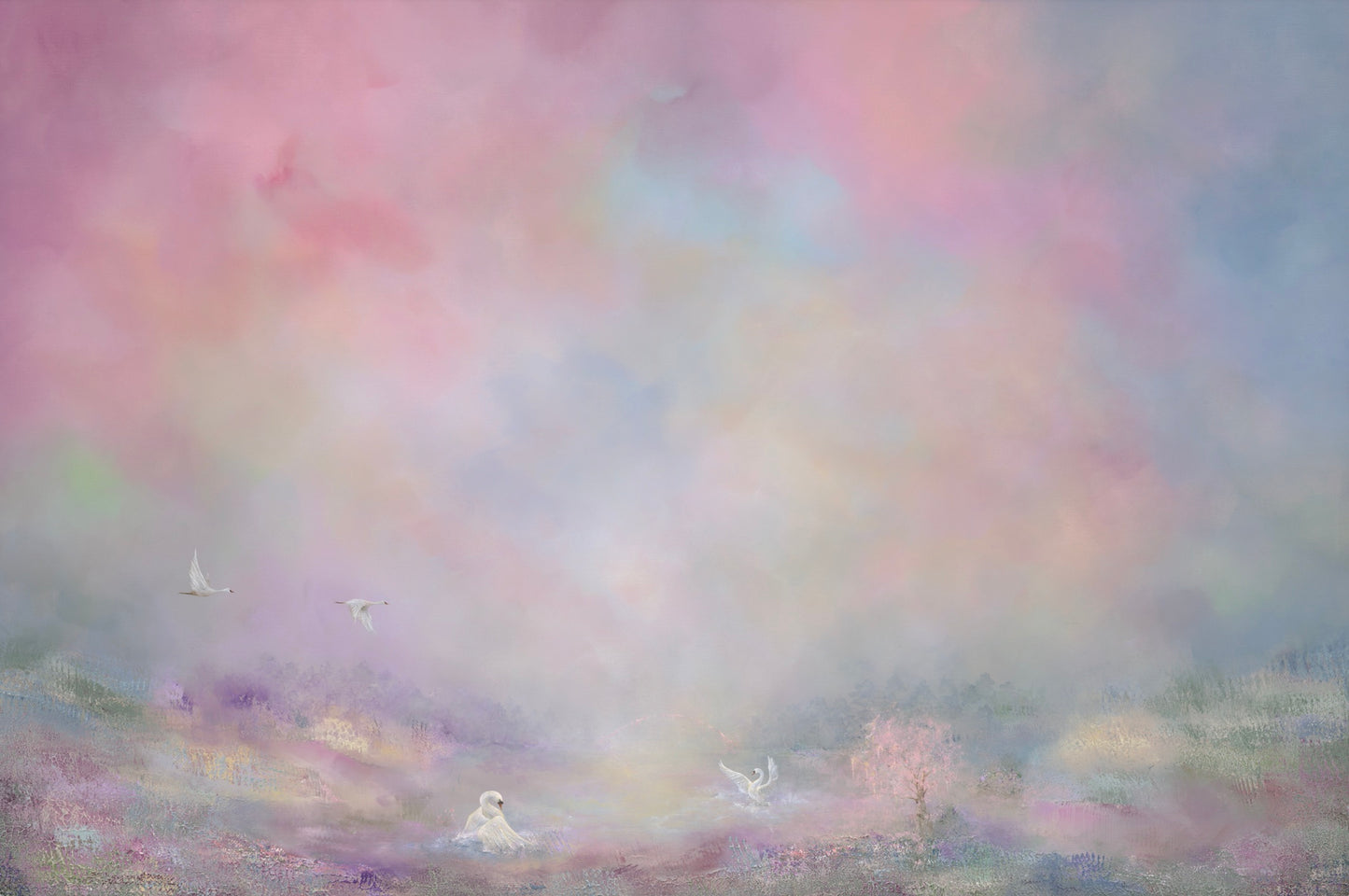 Swan Dance
